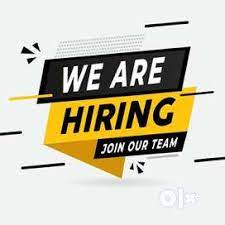 Social Media Manager