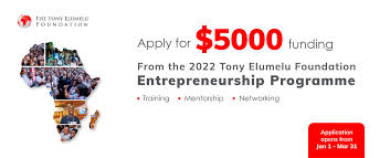tony-elumelu-foundation-grant-2026-application